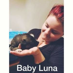 Meet your Posher, Lacey